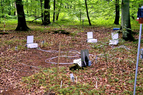 A multiple chamber system to directly measure fluxes to and from a forest floor.
